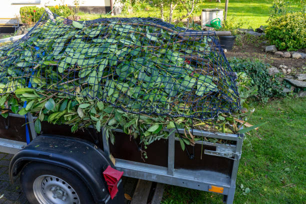 Best Yard Waste Removal  in Centreville, MD